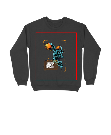 printchester sweatshirt